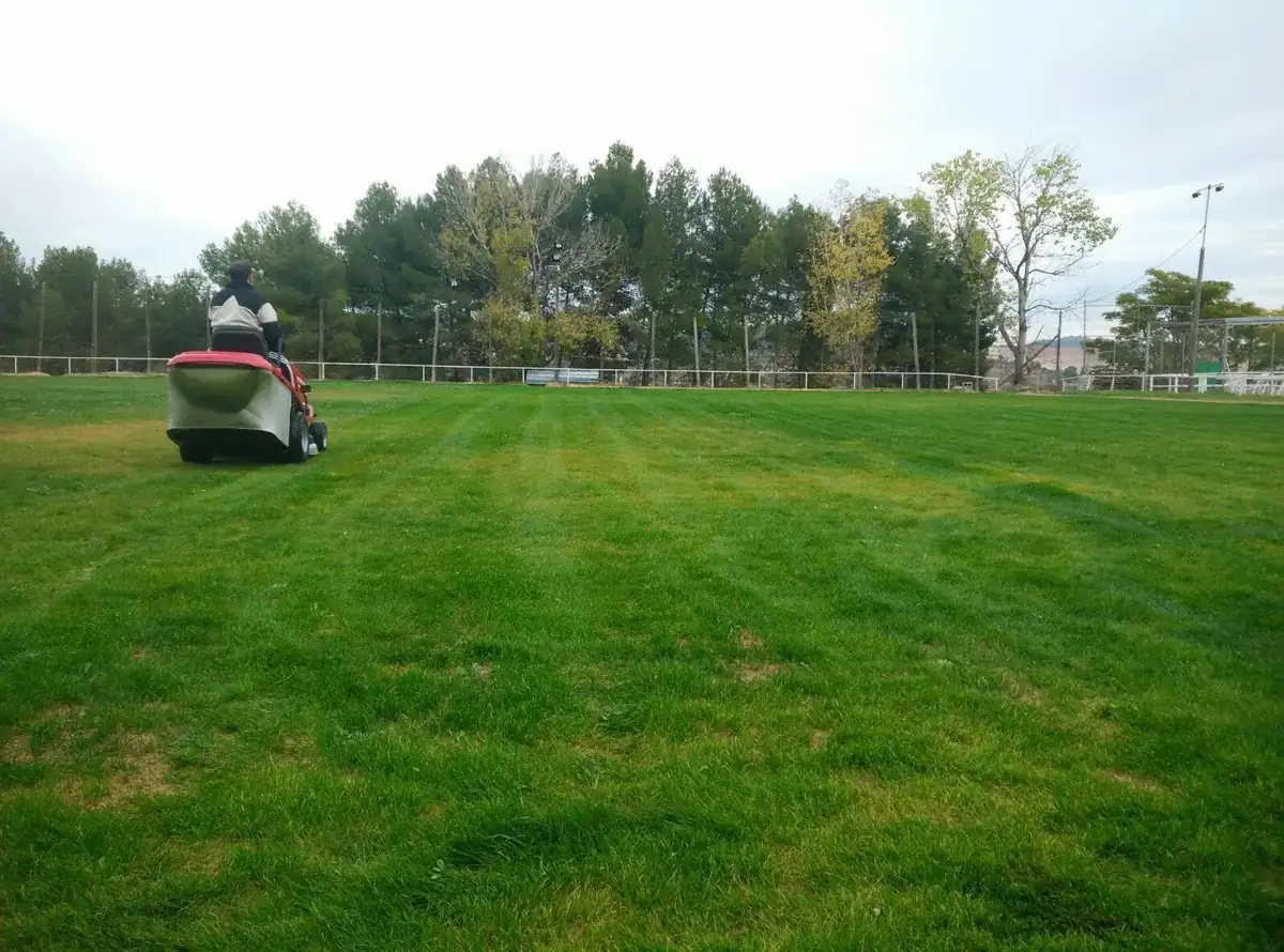 Camp de futbol de l'Albagés