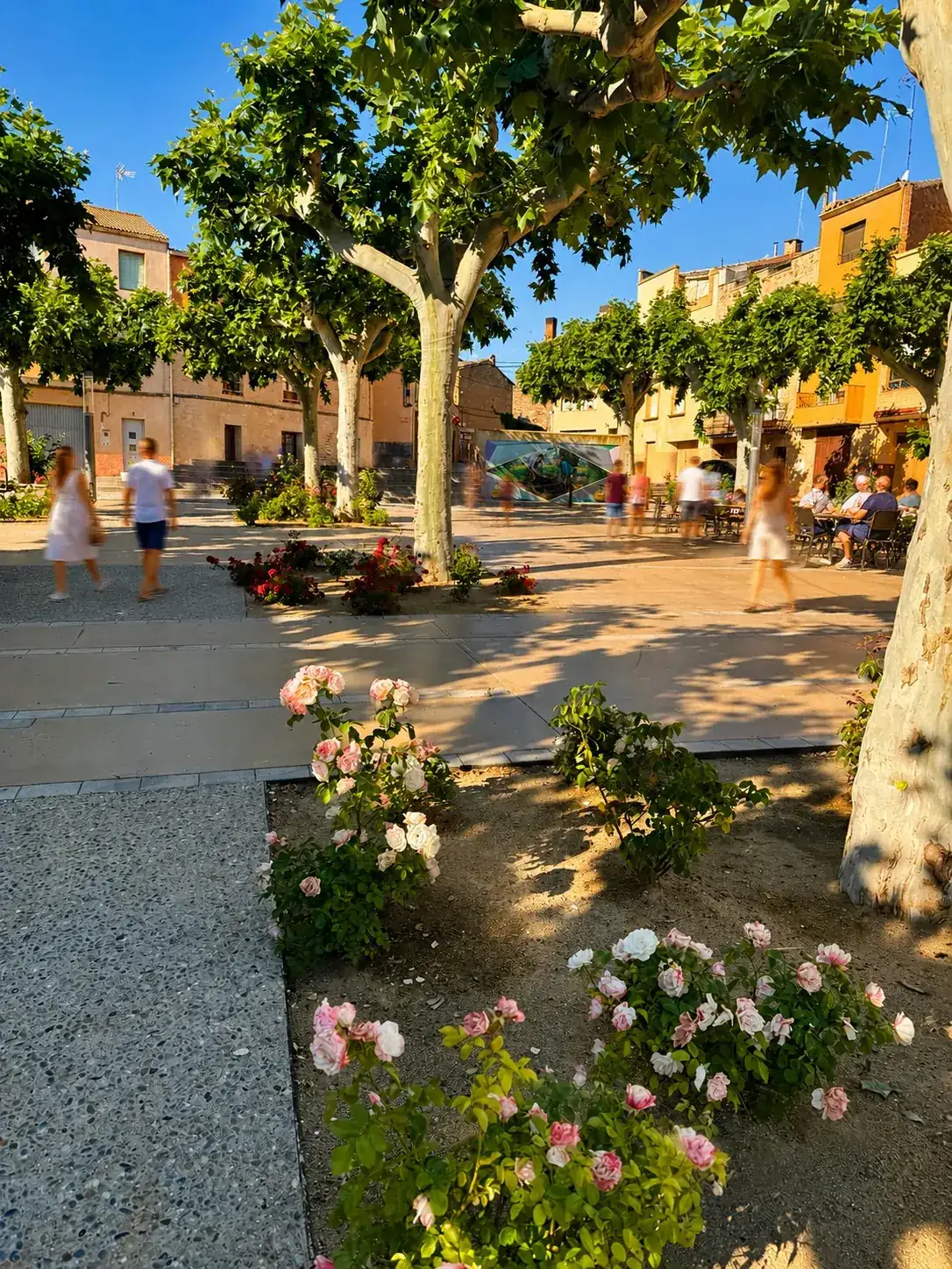 Passeig de les Garrigues